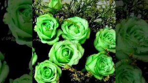 Ах , счастье, ты, как несчастье!!