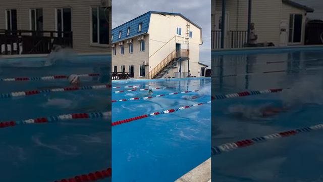 Баттерфляй