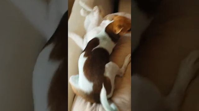 Bella&Barbara смотреть онлайн