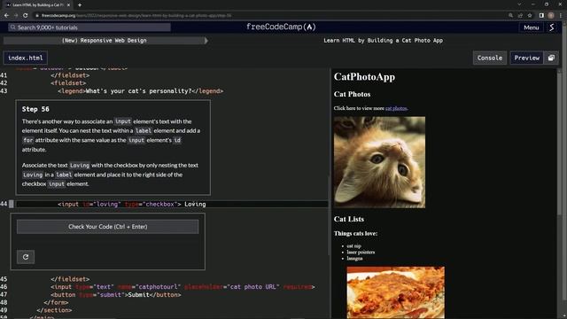 Learn HTML by Building a Cat Photo App - Step 56 смотреть онлайн