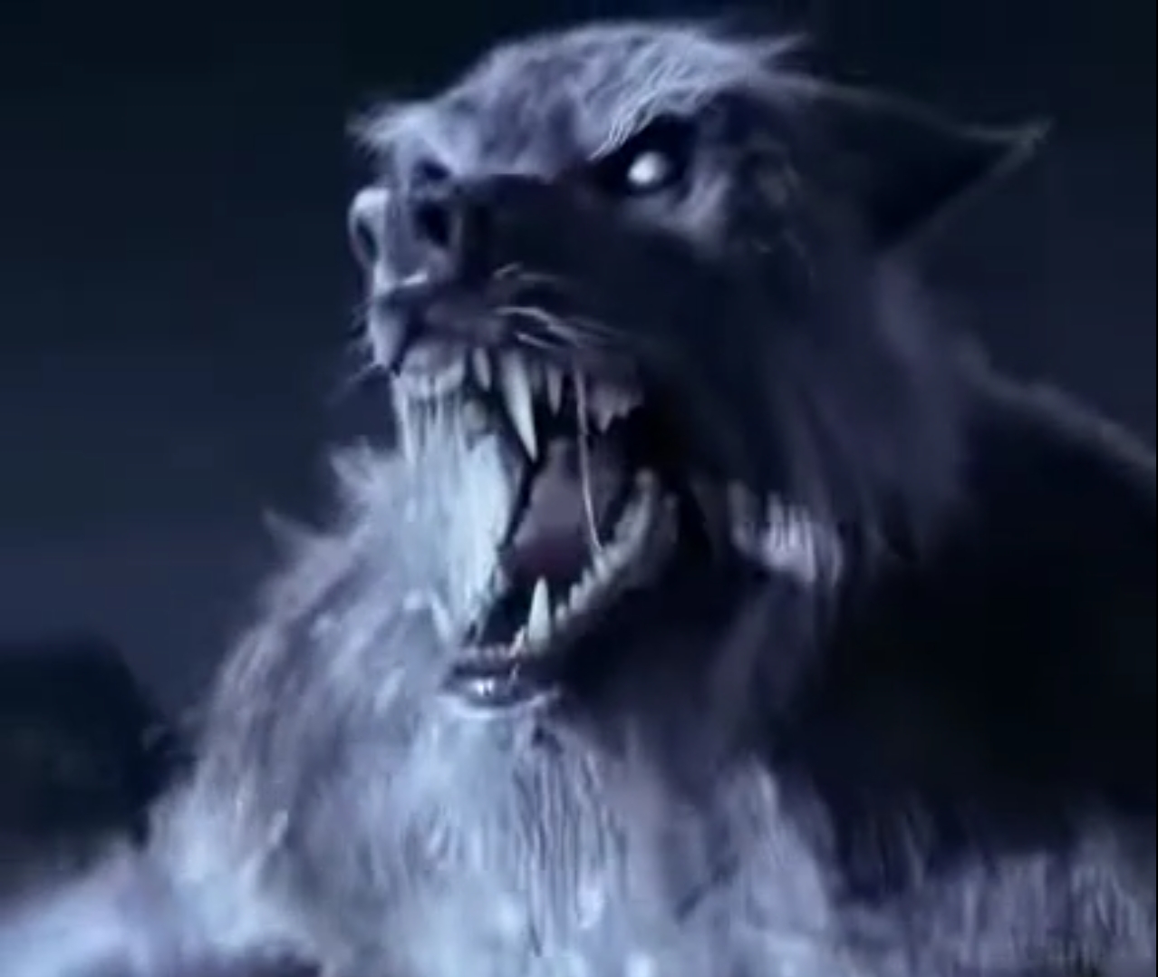 Fight Between Two Wolves