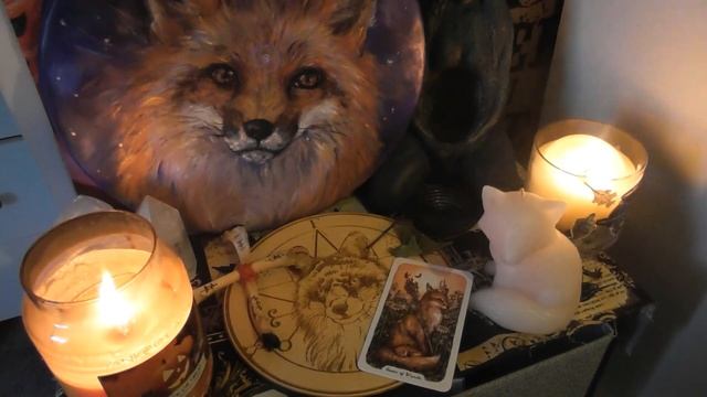 I can't Witch Without... Fox magic! смотреть онлайн