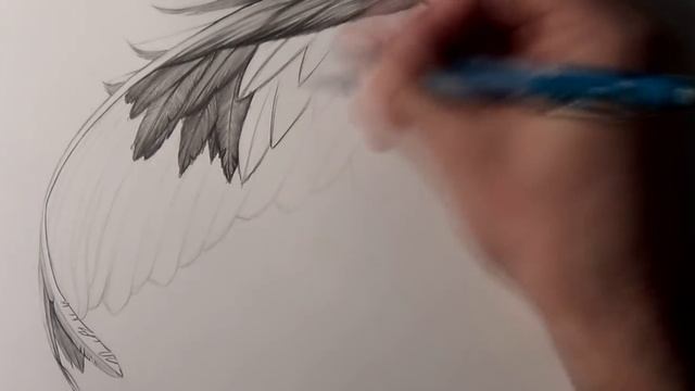 How to Draw a Wing смотреть онлайн