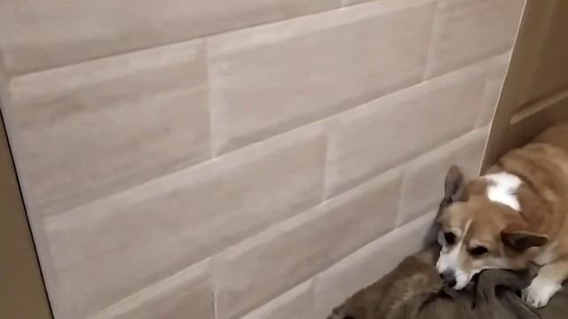 Красивый Дом