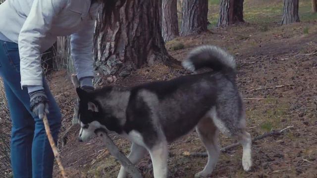 Озеро Гурино смотреть онлайн