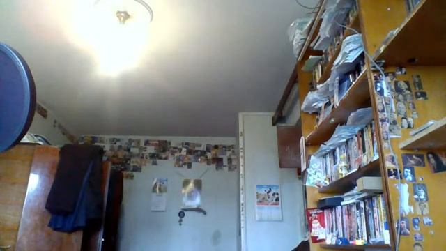 Примечание к стихотворению Александра Пушкина"Внемли,о Гелиос,серебряным луком звенящий...". смотреть онлайн