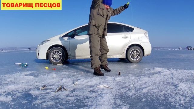 Зимняя рыбалка 2022. Рыбалка на комбайны. Тавричанка Приморский край. смотреть онлайн