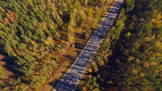Девушка ДРЯХЛА на глазах и лишь бабка-отшельница знала ЧТО нужно делать..