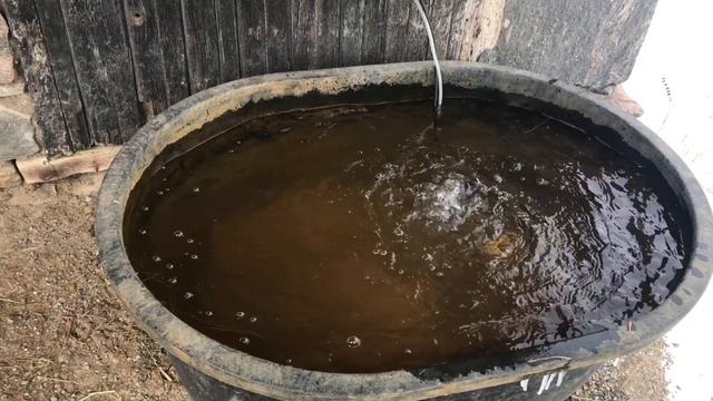 HOW TO KEEP YOUR HORSE WATER TROUGH FROM FREEZING смотреть онлайн