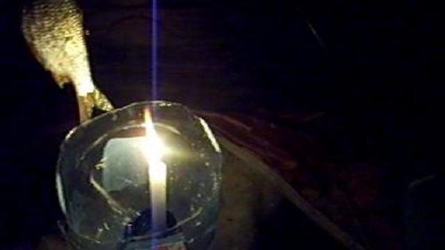 ночная рыбалка зимой смотреть онлайн