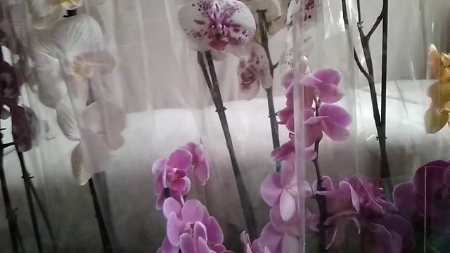 Невероятный улов со склада JMP смотреть онлайн