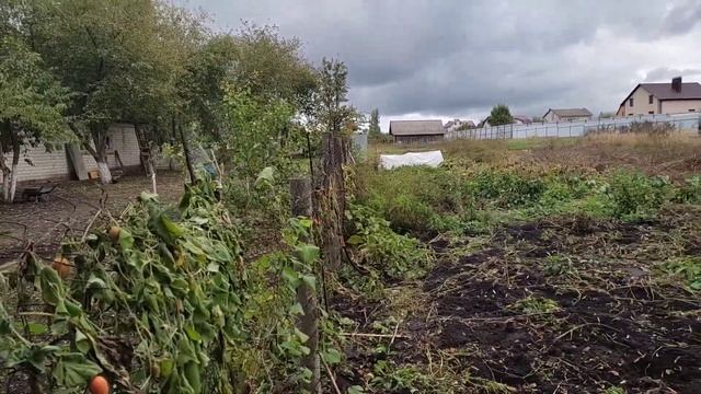 Переезд из Сибири. Куры на воле. Домашние пельмени. Заготовки. смотреть онлайн