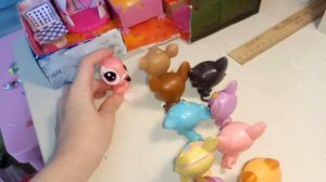 Детский дом лпс