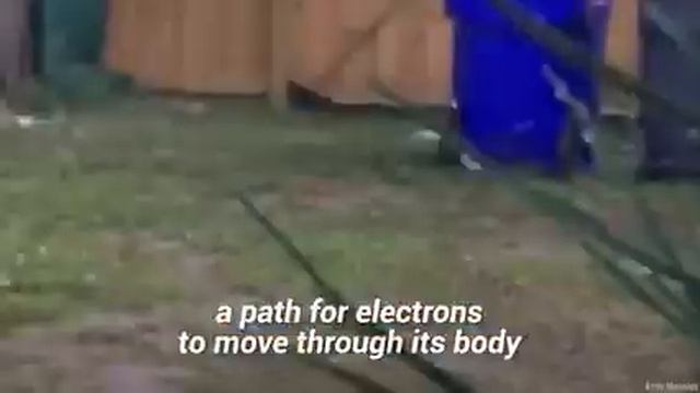 Electric Wire touch effect, Education, Precaution, Dangerous, Entertainment, Teaching, Learning смотреть онлайн