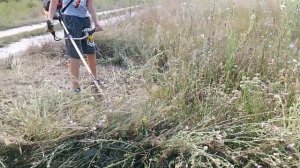 Сравнение лески и диска для триммера