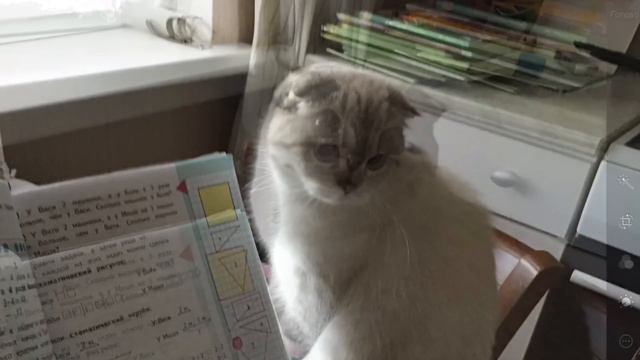 Как мне сделать математику. смотреть онлайн