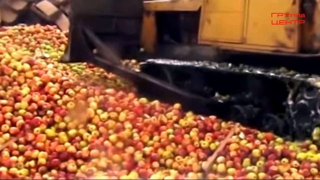 Здесь продукты давят тоннами смотреть онлайн