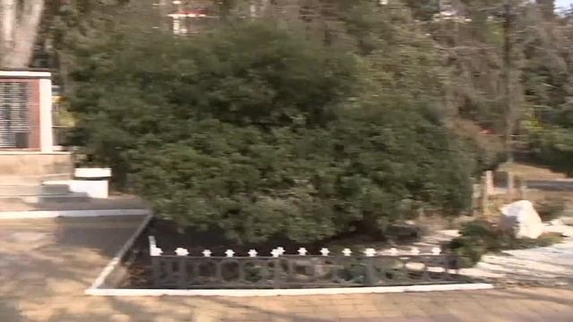 Парк Победы. Хоста смотреть онлайн