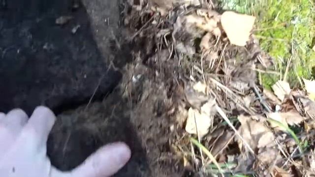 13 октября 2012 Каменные палатки (д.Палкино) смотреть онлайн