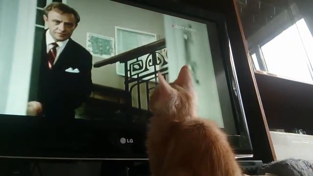 Принц Персии Ксеркс. Мейн кун смотрит ТВ смотреть онлайн