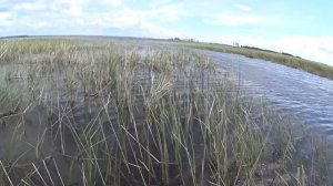 Разведка Боем. Мензелинск. Подводная Охота в Татарстане