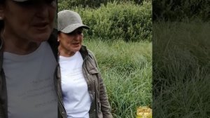 ШЛЕМНИК БАЙКАЛЬСКИЙ, часть #3