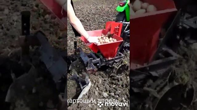 Посадка картошки, апрель 2022года... смотреть онлайн