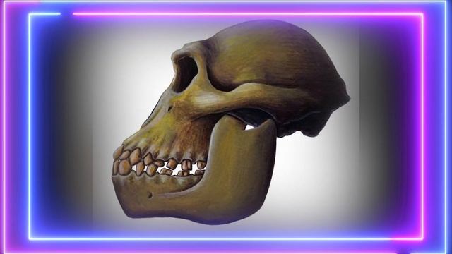 ФАКТЫ ДРЕВНИЕ ЛЮДИ смотреть онлайн