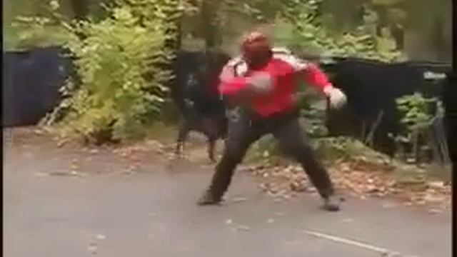 Остановка собаки ударом в голову з боку смотреть онлайн