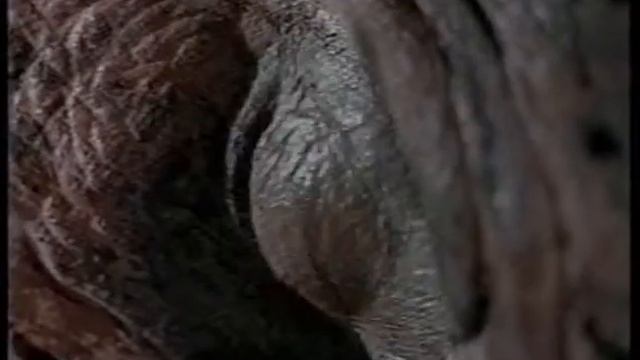 Реклама (VHS) Секретарь смотреть онлайн