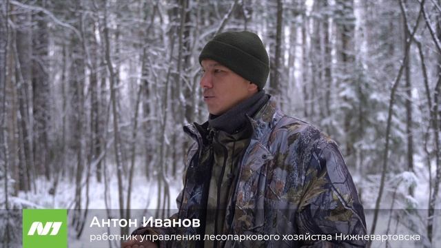 КАК ДЕТИ ПТИЧЕК НАКОРМИЛИ. И БЕЛОЧЕК ТОЖЕ смотреть онлайн