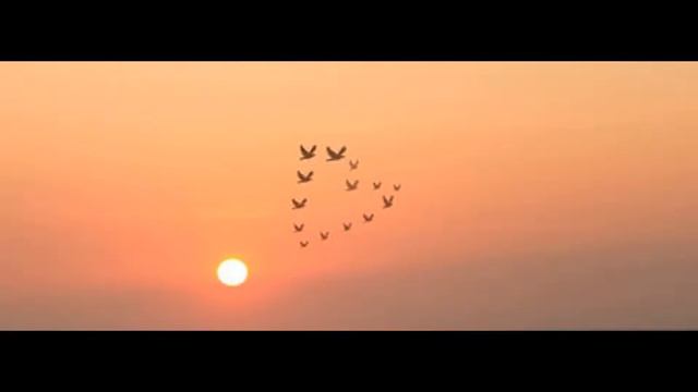 KAK ПТИЦА - Александр Карпенко смотреть онлайн