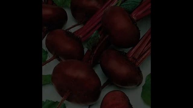 Обзор сорта свеклы "Египетская плоская" (характеристики, свойства, фото) смотреть онлайн