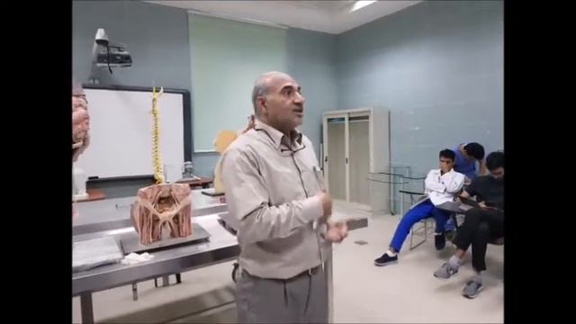 Anatomy Station (GIT & Renal Systems Examination) смотреть онлайн