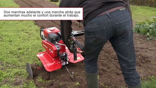 Motoazada Honda FJ 500 DLX - Accesorios