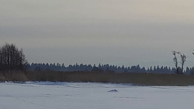 Последний день зимы украшен смело смотреть онлайн