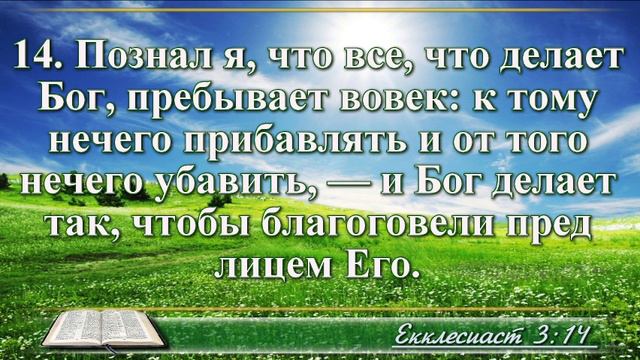 ВидеоБиблия Книга Екклесиаста с музыкой глава 3 читаем и слушаем смотреть онлайн