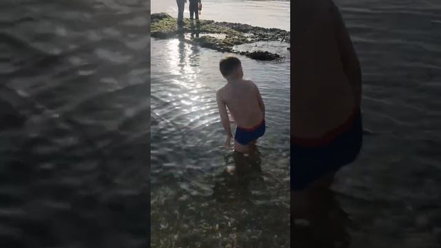 д. Руссолово. СОЧИ купание в черном море, в мае смотреть онлайн