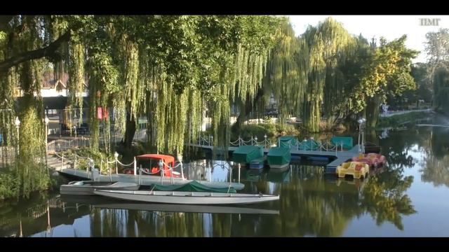 Дубовой роще 60 лет! Утро в Дубовке. Запорожье 8.9.2019. смотреть онлайн