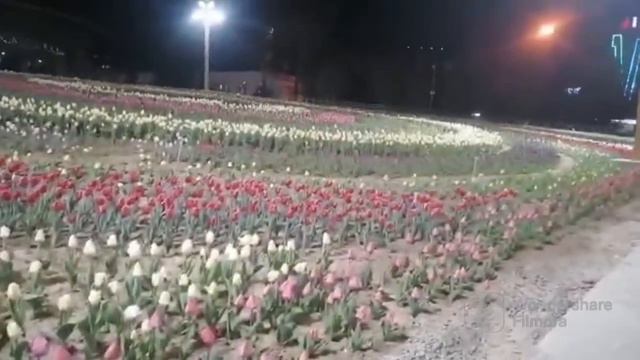 Вечерний Душанбе / Гулистон / Город готовиться к празднику смотреть онлайн