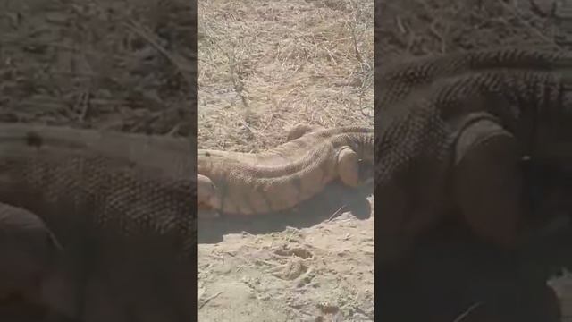 Мынау не деген 😵😵 смотреть онлайн