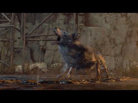 MF Punched Dog So Hard It Turned Into Fidget Spinner