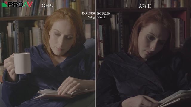 GH5s High ISO Test - Compared to the A7s II, EVA1 & GH5 смотреть онлайн