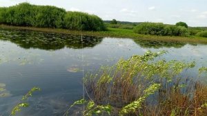 Рыбалка на попла - поппер. Рыбалка в Беларуси . Попла-поппер.