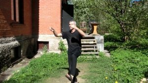 Боевое искусство орла и змеи Система чхарёк 13