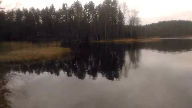 Поездка в лес/Два дня в лесу/Лес/Озеро/Шашлыки/Неделя влогов.День 5-6 смотреть онлайн