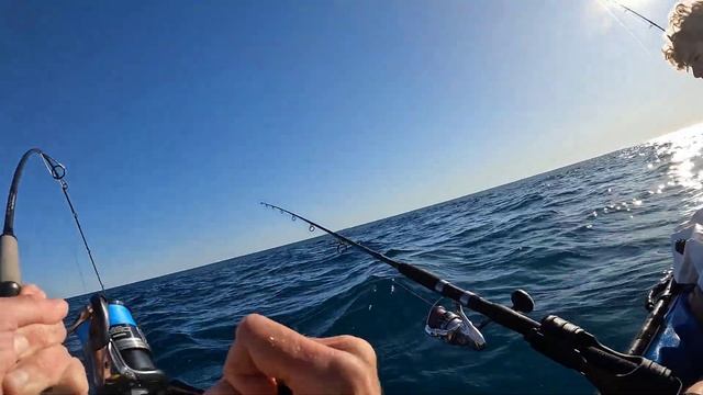 MONSTER Dhu Caught Fishing from Kayak смотреть онлайн