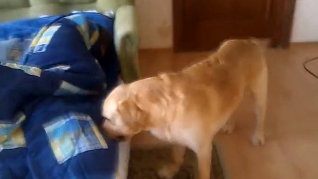 Пробуждение. смотреть онлайн