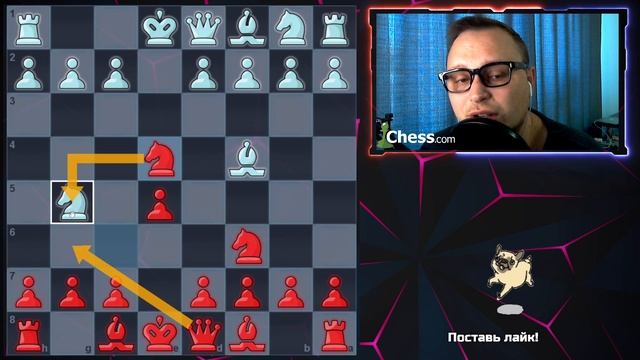 Контратака Тракслера черными (защита двух коней) смотреть онлайн