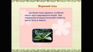 Юный эколог  Тема   Опасности в лесу